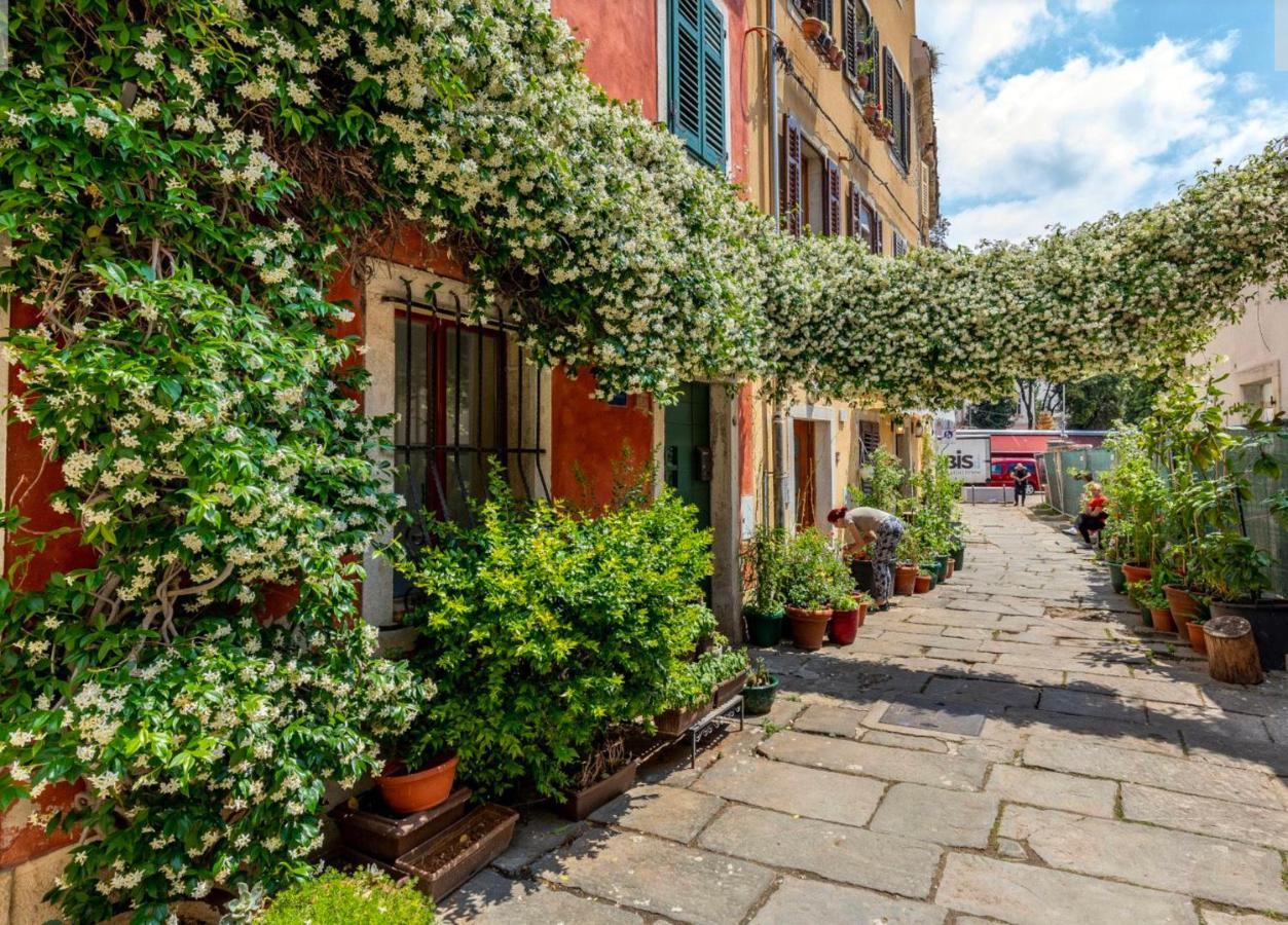 Alighieri Unique Appartement Pula Buitenkant foto